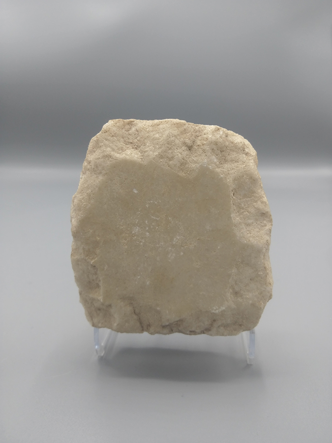 Ancien Fragment de Bas Relief Représentant le Buste de Profil d'un Homme