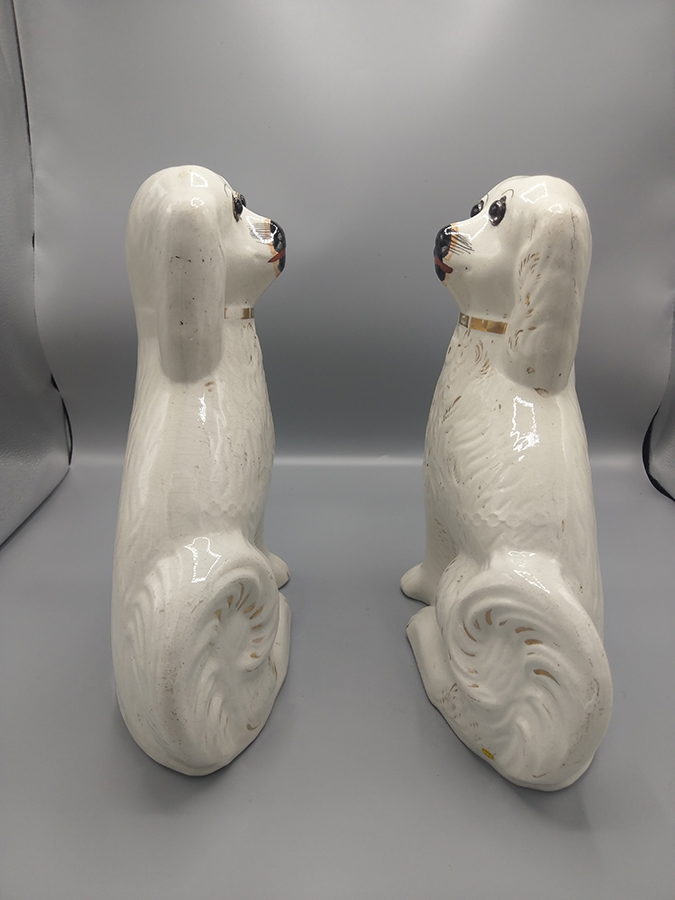 Paire de chiens " Cavalier King Charles " en porcelaine " Staffordshire "